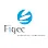 Logo Figec Est