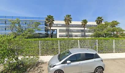 Ô Conseils - Montpellier — cabinet comptable à Montpellier