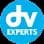 Logo DV EXPERTS